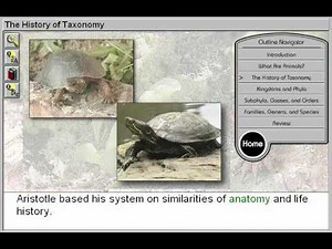 Animal Classification: The History of Taxonomy