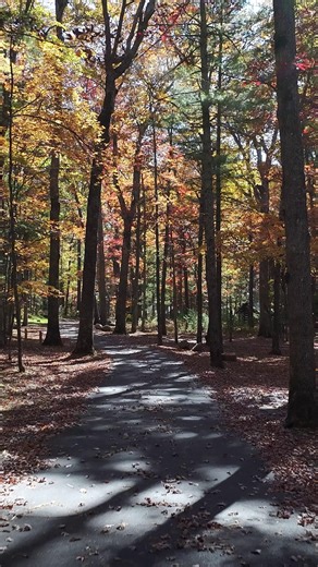 🍃 It’s officially fall! 🍃 Be like Mike and share the wonders of Virginia State Parks with your friends and family this season. There’s no better time to explore than now—when the air is crisp, the trails are golden, and every view looks like a postcard. 🤩 Whether you're hiking, camping, staying in a cabin, or simply soaking in the colors, Virginia State Parks offers something for everyone. 💚 | Virginia State Parks