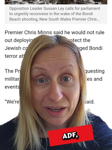 Military Use in Domestic Protection Issues