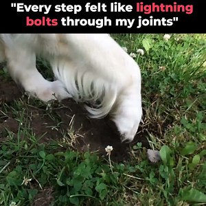 256 reactions · 27 shares | Joint soreness in dogs can creep on you (and your pup). If you don't take action early enough, it can be too late and end in heartbreak. Find out how thousands of loving dog parents are combating it below. | PetLab Co. | Facebook