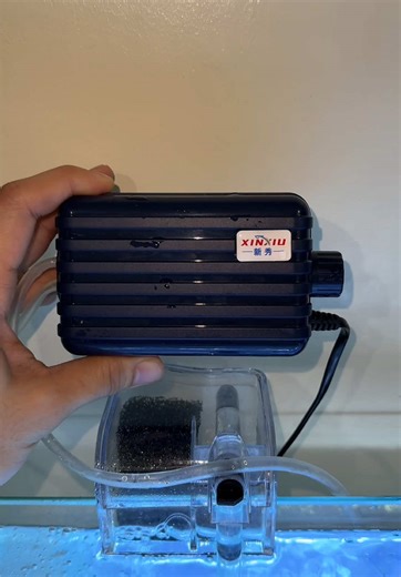 Noiseless Air Pump Solutions for Your Aquarium Fish Tank