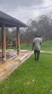 72K views · 10K reactions | We have some very exciting news: Sprite...