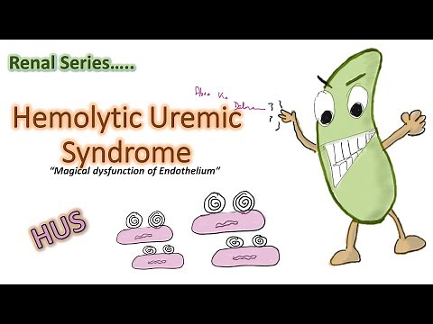 Hemolytic Uremic Syndrome || HUS || children TTP | causes , clinical .f, management etc|| Renal ch#4