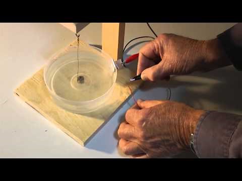 The First Electric Motor