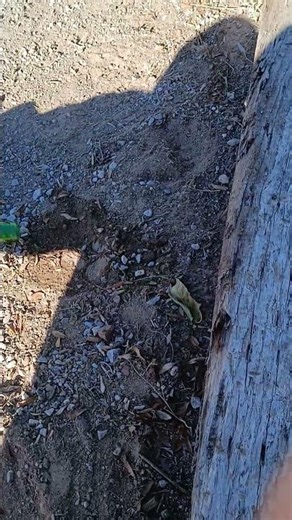 glass bottle hitting ground sound effect