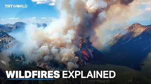 What are wildfires and how do they impact us? - World News