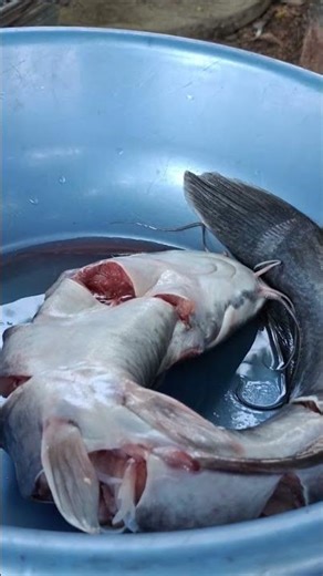 ย่างวันหยุดคัพ..อยู่ไต้หวัน