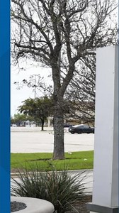 Former Sears site at Town East Mall to get conference center, restaurants in next phase