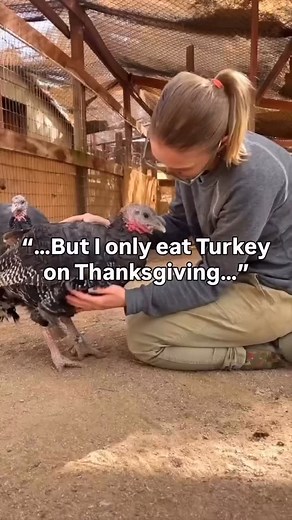 Since 1986, Farm Sanctuary’s Adopt a Turkey Project has been reminding us that the holidays can be filled with compassion, not cruelty. 🦃✨ Instead of eating a turkey, you can sponsor one by giving these gentle, curious birds the chance to live the safe, peaceful life they deserve. Every adoption is a beautiful reminder that kindness tastes better than any holiday dish. Choosing a plant-based Thanksgiving isn’t just delicious… it saves lives, protects our planet, and keeps our values at the cent