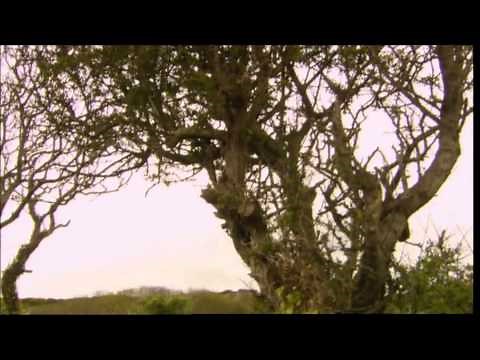 CBeebies My Story Sikh