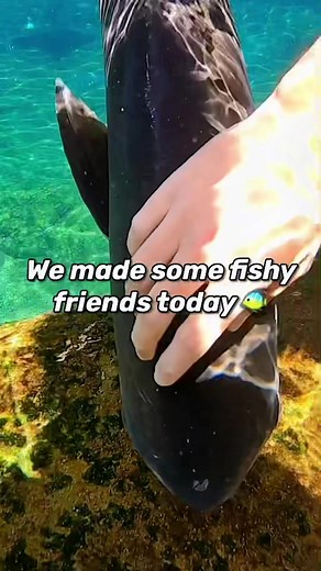 Explore Ushaka Marine World for an Unforgettable Experience