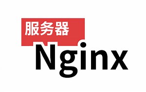【nginx服务器教程】比啃书效果好多了！这绝对是我在B站看的最好的nginx教程，学到你就赚到了！