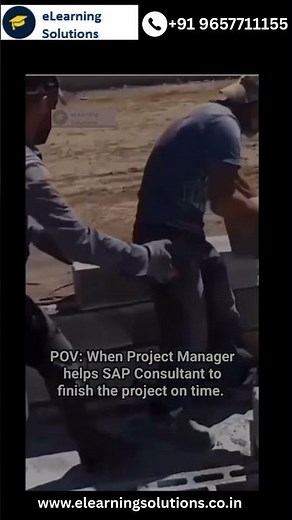 When Project Managers Push SAP Consultants to Finish on Time 😂 | Project Management Meme