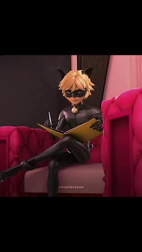 Miraculous Chat Noir Cat | Sweet Are You