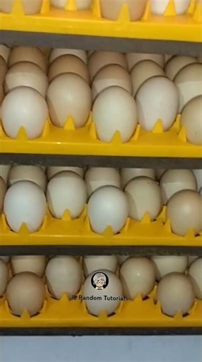 PERFECT || JL Random Tutorials