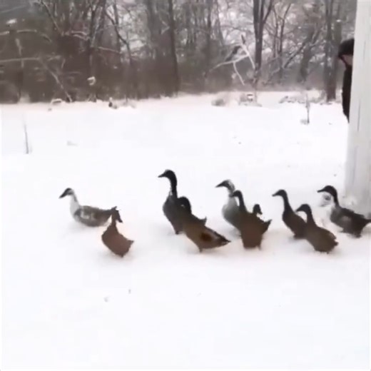 they changed their mind 😁 | Funniest and Craziest Videos