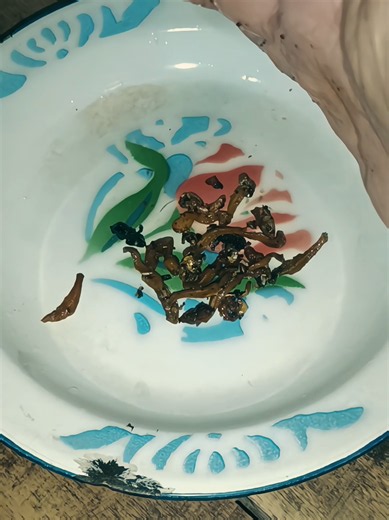 Nasi Teri: Kenikmatan Nostalgia Makanan Jaman Dulu
