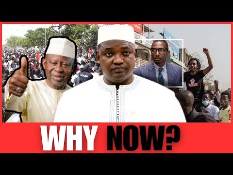 Is Adama Barrow Losing The Gambia? (2026 Election Truth)