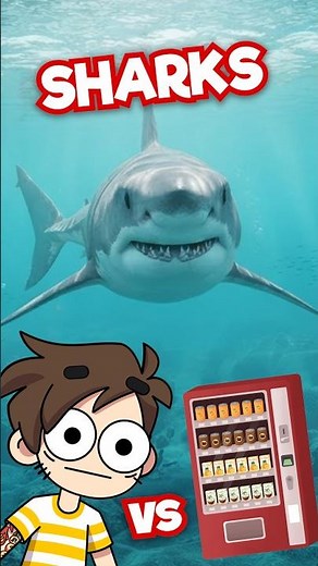 SHARKS vs VENDING MACHINES?! 🦈 #animation