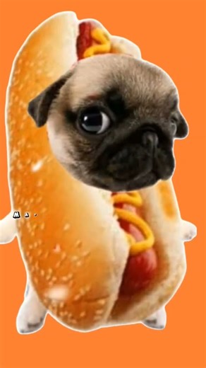 #cover #music #pug #shortvideo @minecraft #jumpstyle #edit #memes #pugmemes