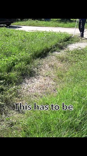 The most overgrown sidewalk I transformed Check out my youtube channel for the full transformation #shorts #shortsvideos #viralvideo #viralreels #viralpost #overgrown #mrcris #helping #mowing#hondamower #helpingothers #lawncare #asmr #fyp #fyp #oddlysatisfying #edging #yard | MrCris