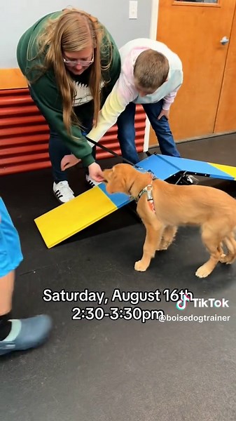Puppy Pop-In Class: Last Spots Available!