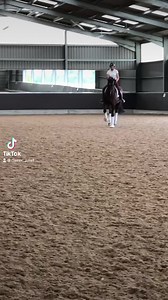 Classic Dressage on Reels