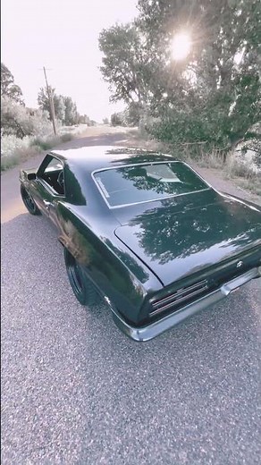 1969 Firebird Details!