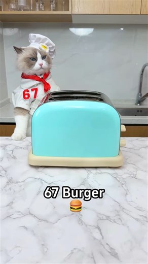 That Little Puff on Instagram: "#67 #burger #fyp #trending #thatlittlepuff"