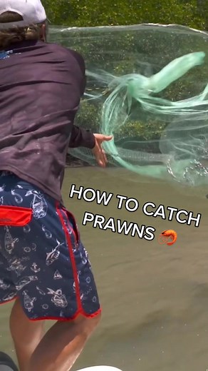 Mastering the Art of Cast Netting for Prawns: A Step-by-Step Guide