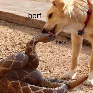 Snek | Know Your Meme