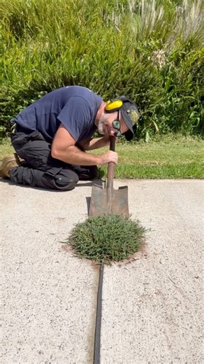 7.8M views · 42K reactions | How Bizarre right? | Nathans Lawns and Gardens | Facebook