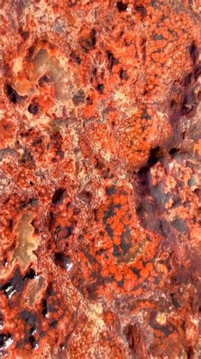 Massive Olympic Mountain Poppy Jasper 😍 Washington River Treasure ♥️ Rockhounding Find