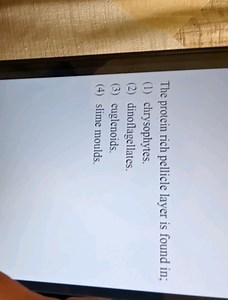 The protein rich pellicle layer is found in;(1) chrysophytes.... | Filo