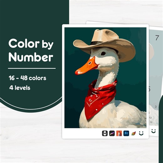 Duck in Cowboy Hat - Color by Number - Digital & Printable - 4 Levels - Etsy