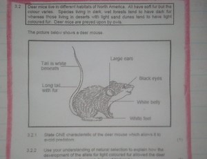 3.2 Deer mice live in different habitats of North America. All ... | Filo