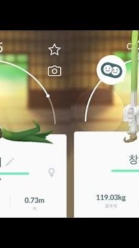 포켓몬고 가라르 파오리 진화 창파나이트