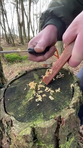 AWESOME SURVIVAL TINDER 🔥MAYASTICKS - Tinder on a Rope🔥 #skills #shorts #campinggear