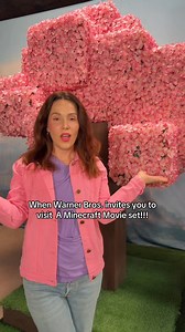 2.4K views | Living out a Minecraft dream! ✨ So incredibly grateful we got invited to capture content on the set of the #MinecraftMovie at Warner Bros. Pictures! This was the video my amazing son, Asher, wanted to make – check it out!  My kids have already seen it twice, and now that it's on digital, I'm finally watching it tonight! Let me know if you've seen it!  #minecraftmovie #iamsteve #minecraft | Stuart Brazell | Facebook