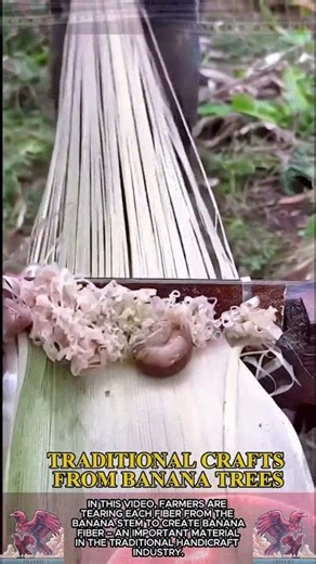 Hand-shredding bananas || Traditional craft