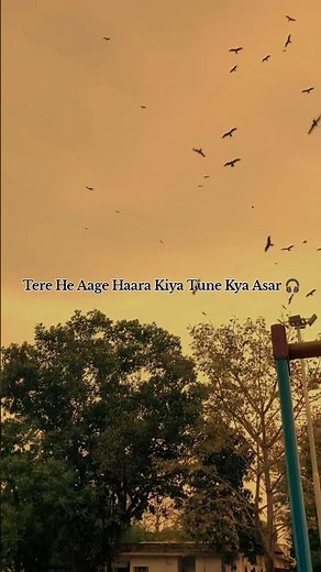 Ye Tune Kya Kiya |Once Upon a Time in Mumbaai | Javed Bashir | Romantic Song ❤️ #song #Lyrics #musi