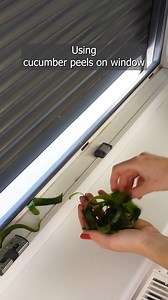 Cucumber peels on the window frame and the problem simply vanishes 🥒 | Clever Life Hacks