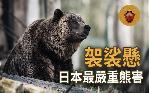 【日本熊害】日本史上最严重的棕熊袭击事件｜三毛别罴事件｜幽明异苑