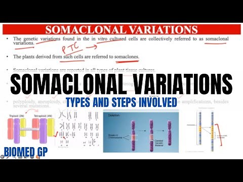 Somaclonal Variations in Plants: Types and Steps involved