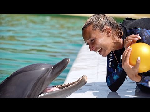 Soigneur Dauphins_Marineland