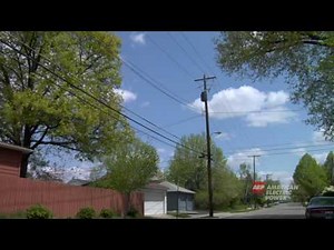 Chapter 3: The Anatomy of an Electric System