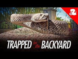 Snake Fence or Rattlesnake Trap? This One Factor Makes the Difference.