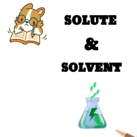 Solute and Solvent Explained | Basic Chemistry | Chemistry With Saeed