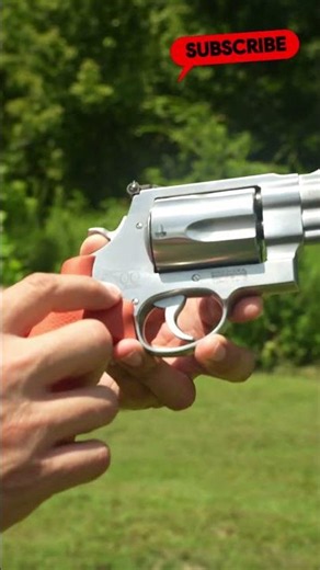 500 Magnum – Built for Extreme Survival! #short #funny