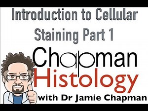 3 Min Histology Intro To Cell Staining 1